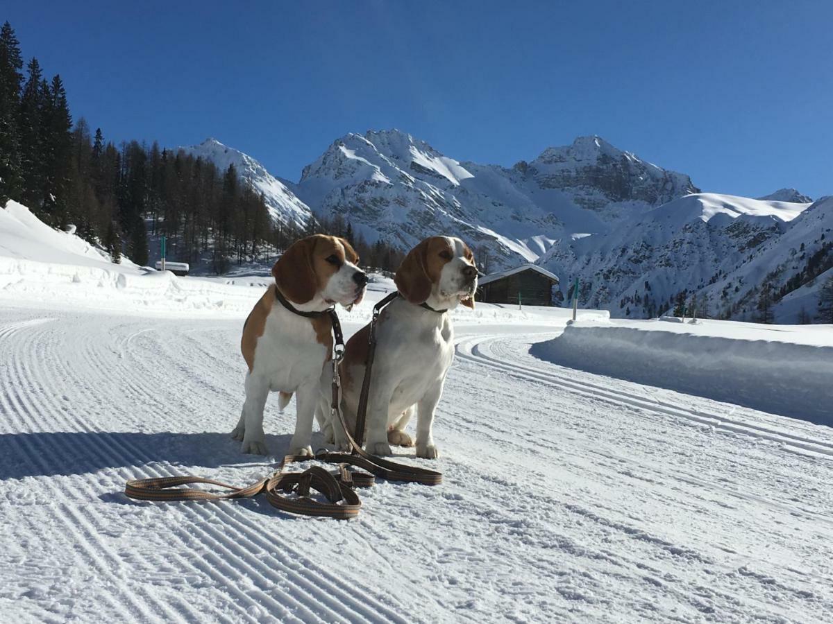 Sertig Ferienwohnung Davos Exterior foto